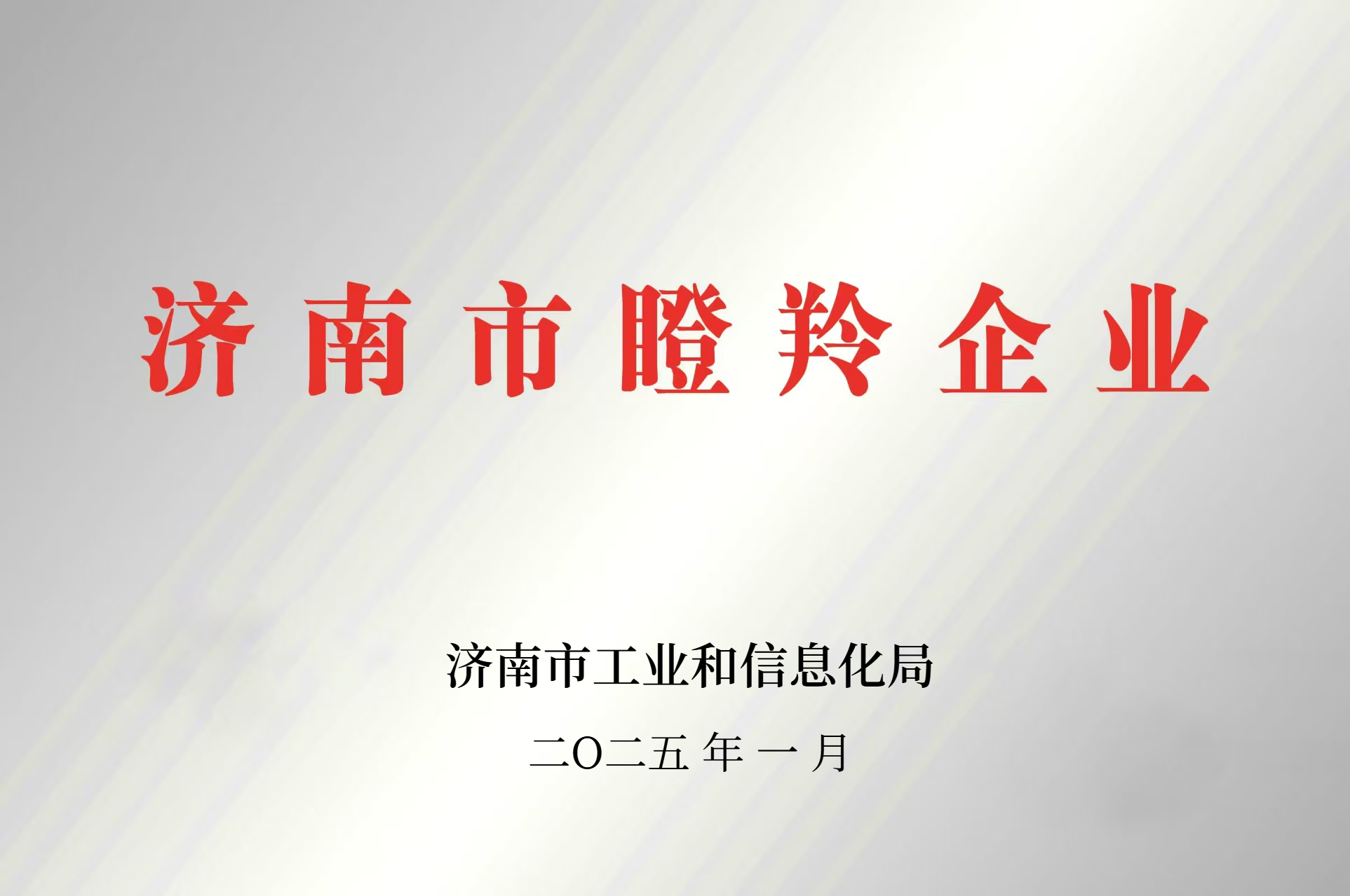 济南市瞪羚企业